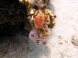 2011-09-12 01-28-09 Steven